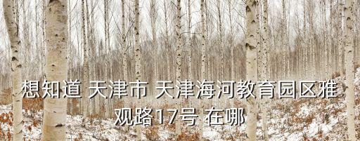 想知道 天津市 天津海河教育園區(qū)雅觀路17號(hào) 在哪