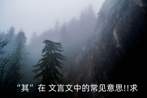 “其”在 文言文中的常見意思!!求