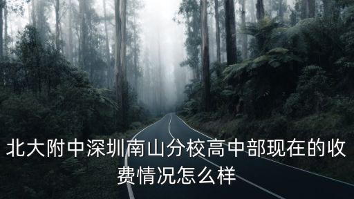 北大附中深圳南山分校高中部現(xiàn)在的收費(fèi)情況怎么樣