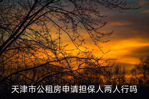 天津市公租房申請(qǐng)擔(dān)保人兩人行嗎