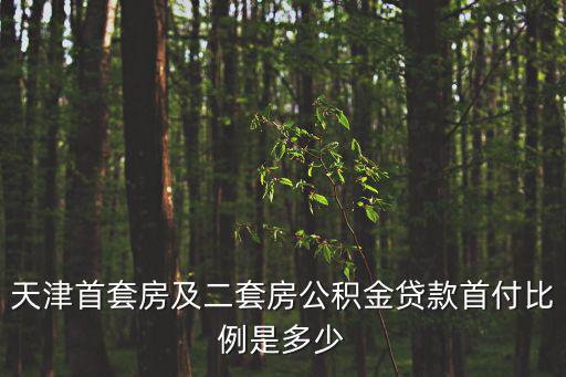 天津首套房及二套房公積金貸款首付比例是多少