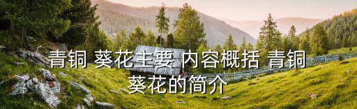 青銅葵花主要內容,青銅葵花主要講述主角命運