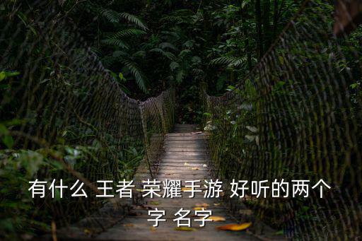 有什么 王者 榮耀手游 好聽的兩個字 名字