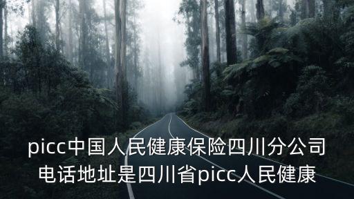成都市科華南路2號中華保險，成都中國人民健康保險股份有限公司的地址