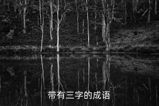 帶有三字的成語