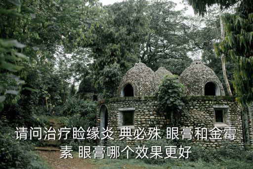 請問治療瞼緣炎 典必殊 眼膏和金霉素 眼膏哪個效果更好