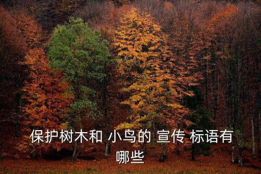  保護(hù)樹(shù)木和 小鳥(niǎo)的 宣傳 標(biāo)語(yǔ)有哪些