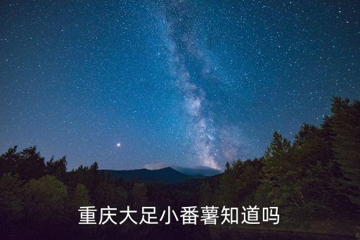 重慶大足小番薯知道嗎