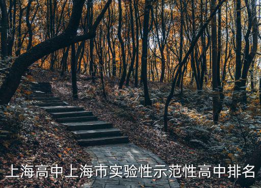 上海高中上海市實驗性示范性高中排名