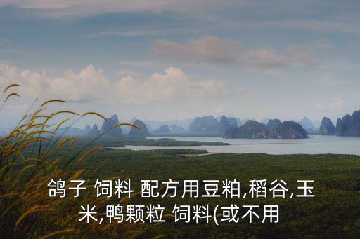 鴿子飼料配方,鴿子蛻皮期間該怎么吃什么?