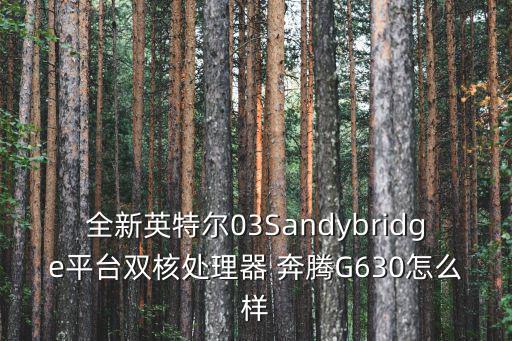 全新英特爾03Sandybridge平臺雙核處理器 奔騰G630怎么樣