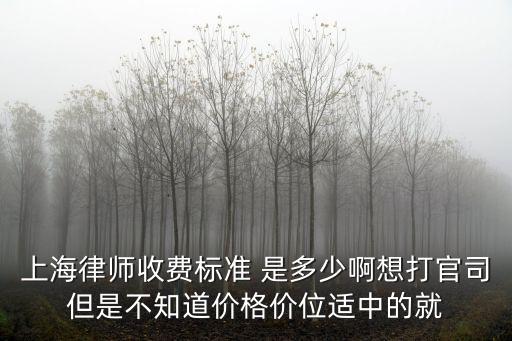 上海律師收費標準 是多少啊想打官司但是不知道價格價位適中的就