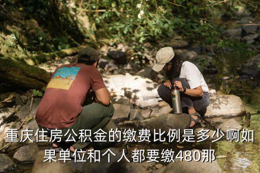 重慶住房公積金的繳費比例是多少啊如果單位和個人都要繳480那