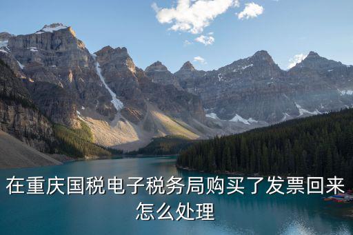 重慶市電子稅務(wù)局開票，重慶地方稅務(wù)局網(wǎng)絡(luò)發(fā)票開票系統(tǒng)怎么打不開 急