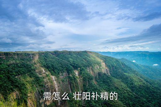 怎么壯陽,補腎壯陽可治療腎陽虛哪些病?