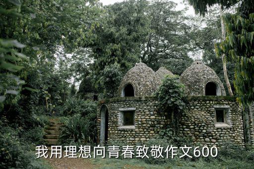 我用理想向青春致敬作文600