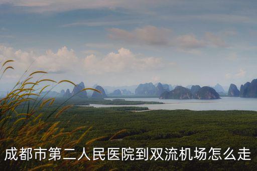 成都市第二人民醫(yī)院到雙流機(jī)場(chǎng)怎么走
