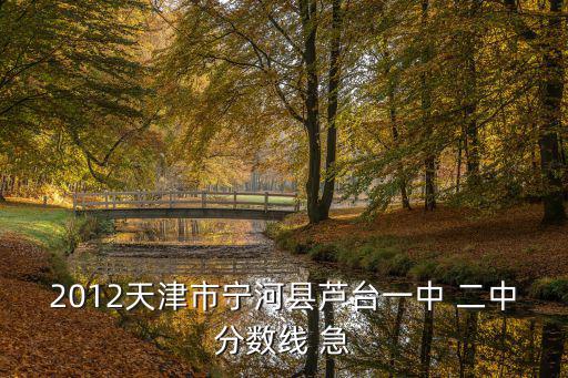 天津市寧河區蘆臺一中高考錄取，2012天津市寧河縣蘆臺一中 二中分數線 急