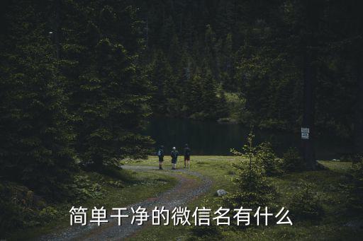 簡單干凈的微信名有什么