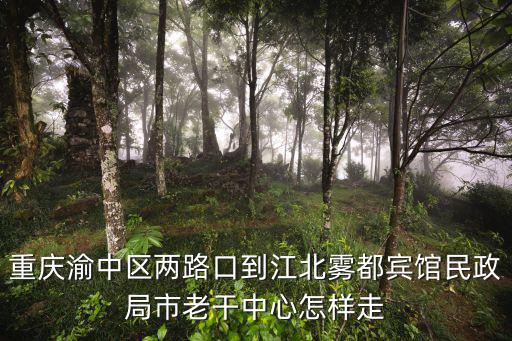 重慶渝中區(qū)兩路口到江北霧都賓館民政局市老干中心怎樣走