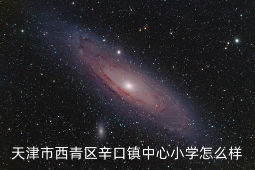 天津市辛口鎮中心小學高，天津市西青區辛口鎮中心小學怎么樣