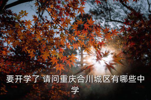 要開學(xué)了 請問重慶合川城區(qū)有哪些中學(xué)