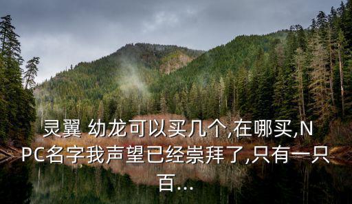  靈翼 幼龍可以買幾個,在哪買,NPC名字我聲望已經崇拜了,只有一只百...