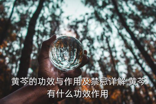 黃芩的作用和功效,黃芩功效與作用:瀉火解毒安胎鎮痛