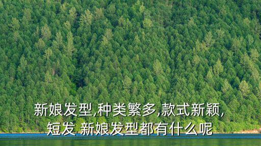  新娘發型,種類繁多,款式新穎, 短發 新娘發型都有什么呢