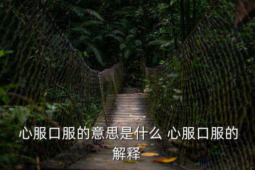  心服口服的意思是什么 心服口服的解釋