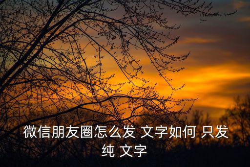 微信如何只發文字,如何在微信朋友圈只發send文字?