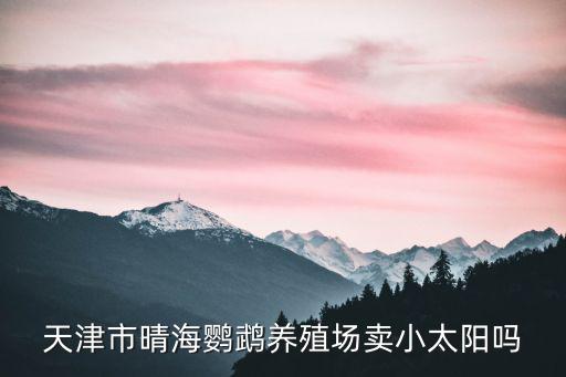 天津市晴海鸚鵡養(yǎng)殖場(chǎng)賣(mài)小太陽(yáng)嗎