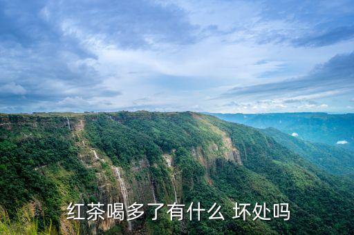 喝紅茶的好處和壞處,喝紅茶骨骼強壯有益心臟和消化