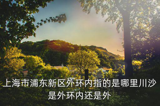浦東新區 地圖 內環，哪有上海浦東新區內環里這一塊的地圖