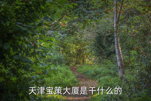 天津市濱海新區金海岸中醫醫院，天津寶策大廈是干什么的