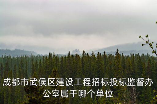 成都市武侯區建設局徐航，問一個地方來高手亂打舉報