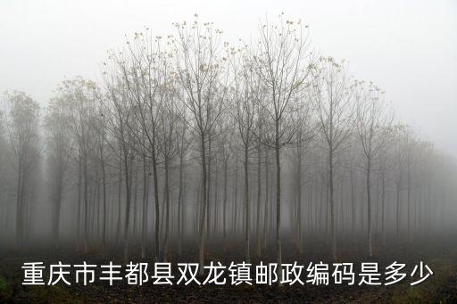重慶市豐都縣雙龍鎮郵政編碼是多少