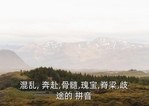 混亂, 奔赴,骨髓,瑰寶,脊梁,歧途的 拼音