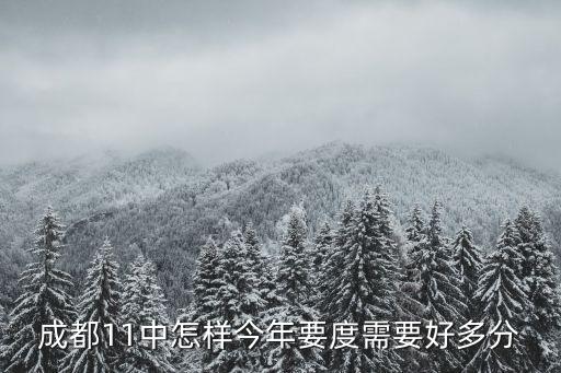 成都11中怎樣今年要度需要好多分