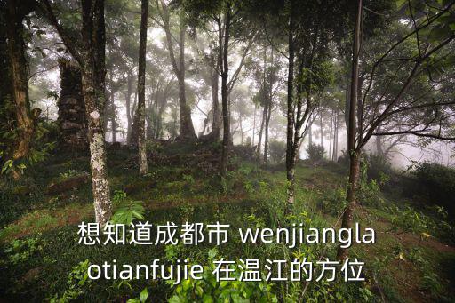 想知道成都市 wenjianglaotianfujie 在溫江的方位
