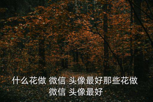 什么花做 微信 頭像最好那些花做 微信 頭像最好