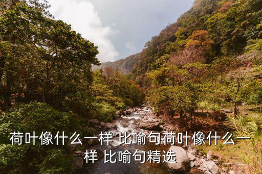 荷葉像什么一樣 比喻句荷葉像什么一樣 比喻句精選
