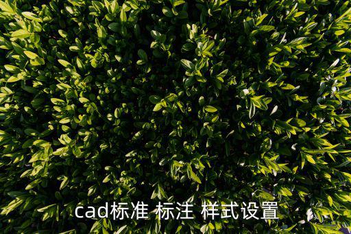 cad標(biāo)注樣式,cad標(biāo)注怎么復(fù)制?