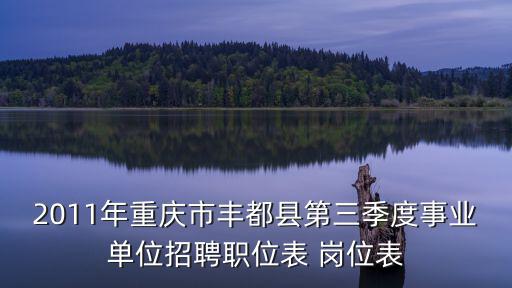 2011年重慶市豐都縣第三季度事業(yè)單位招聘職位表 崗位表