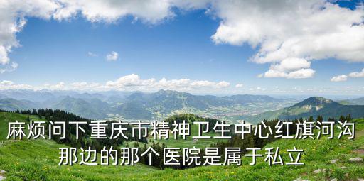 麻煩問下重慶市精神衛生中心紅旗河溝那邊的那個醫院是屬于私立