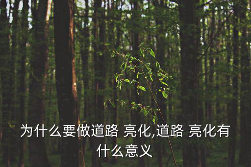 樹木亮化,房產(chǎn)路樹木亮化開票屬于建筑行業(yè)!