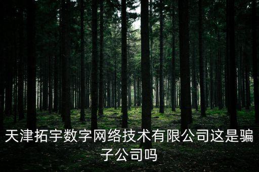 天津拓宇數字網絡技術有限公司這是騙子公司嗎