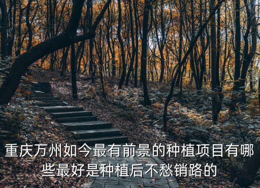 重慶萬(wàn)州如今最有前景的種植項(xiàng)目有哪些最好是種植后不愁銷路的