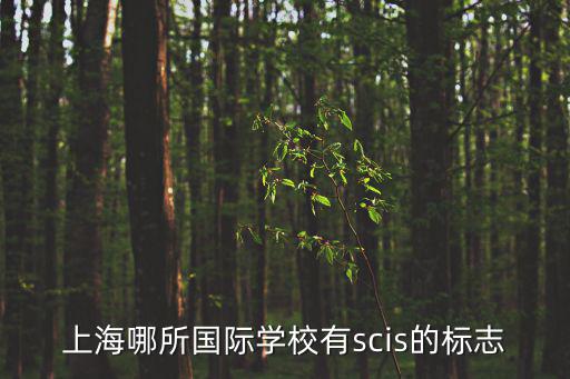 上海國際高中有多少所大學，上海市有幾所學校