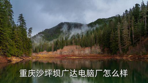 重慶沙坪壩廣達電腦廠怎么樣
